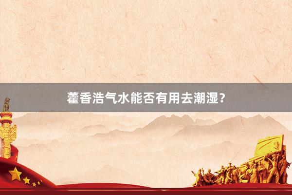 藿香浩气水能否有用去潮湿？