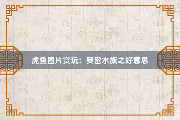 虎鱼图片赏玩：奥密水族之好意思