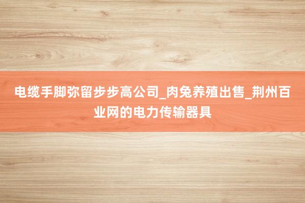 电缆手脚弥留步步高公司_肉兔养殖出售_荆州百业网的电力传输器具